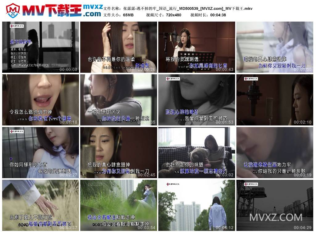 张露露-逃不掉的牢_国语_流行_MD500539